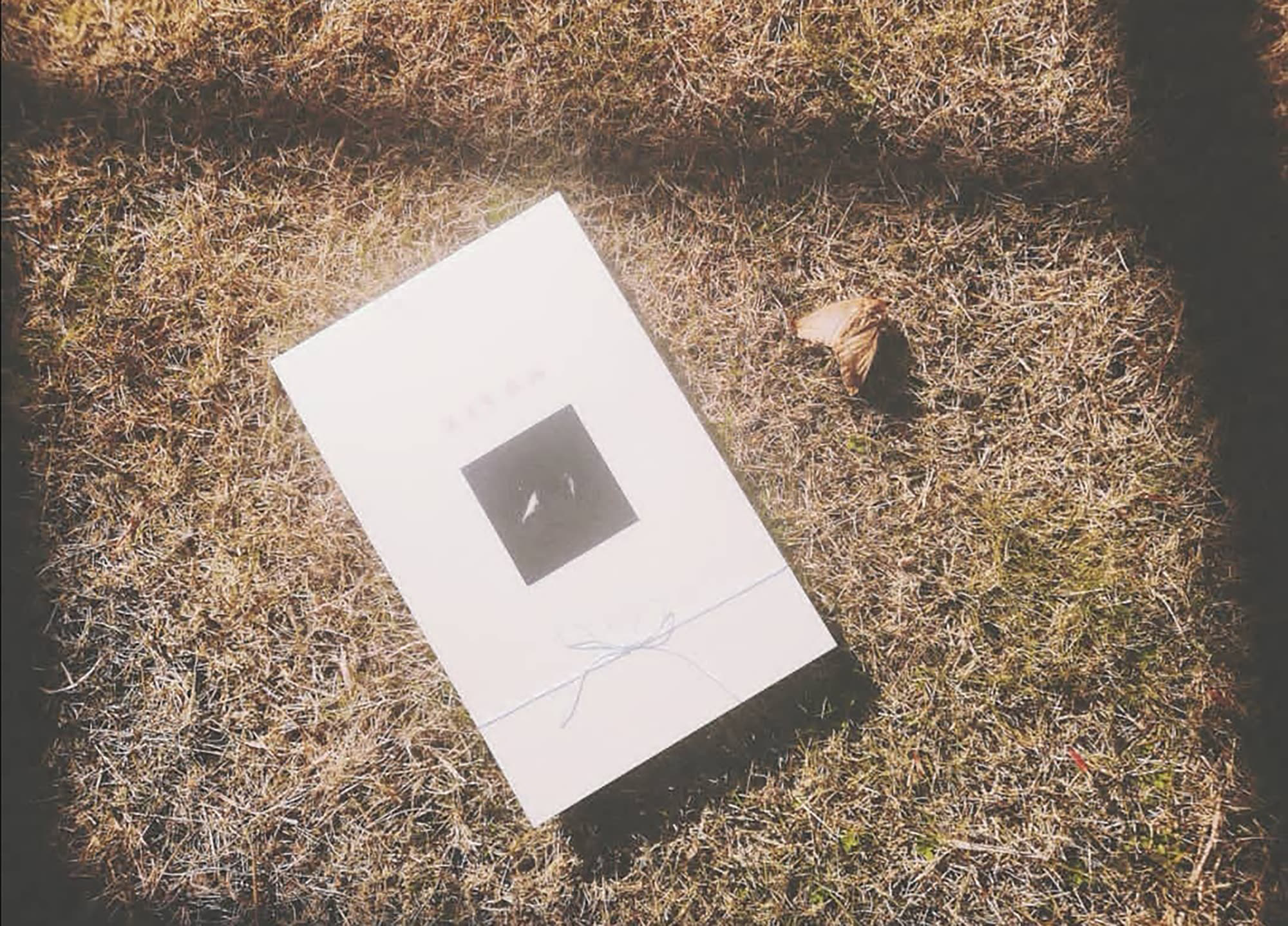 深夜魚幽幽 書封，張儀君 Luna Cheong